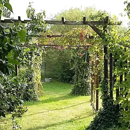 Bed & Breakfast Genesungsort Dammert