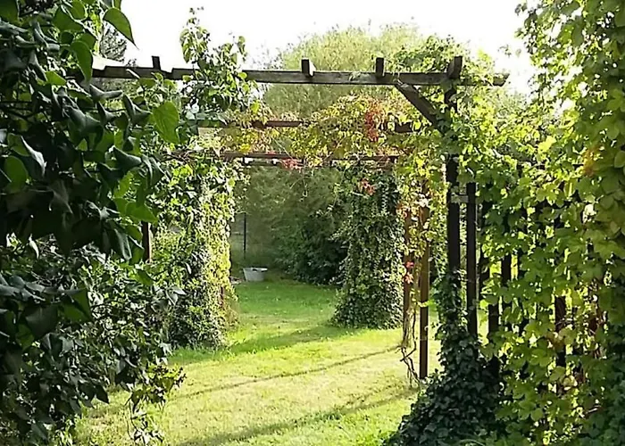 Bed and breakfast Genesungsort Dammert